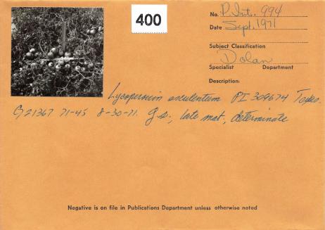 Click for 1 image(s) for this accession. Field